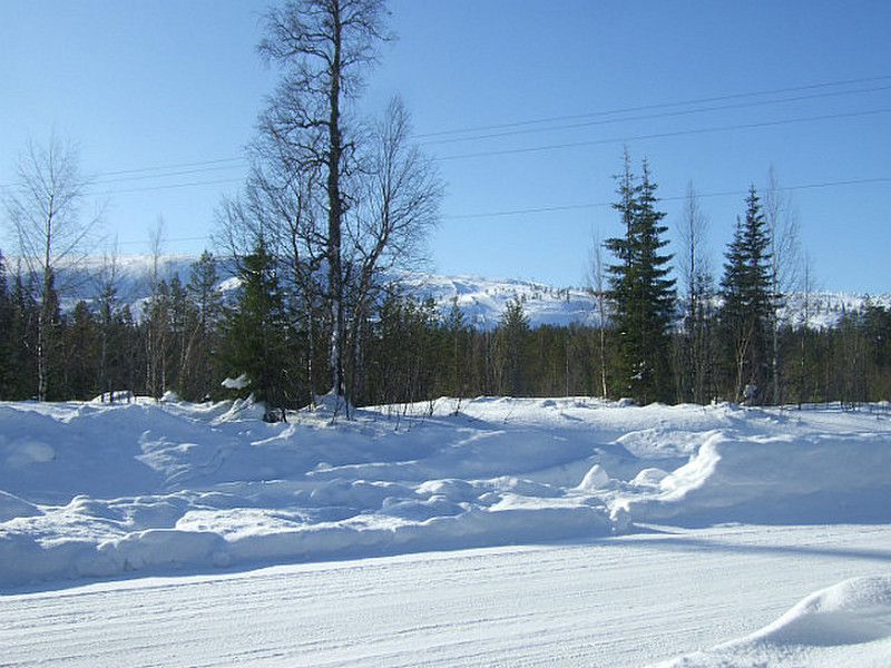 VIEW FROM THE SNOWMOBILE ROUTE
