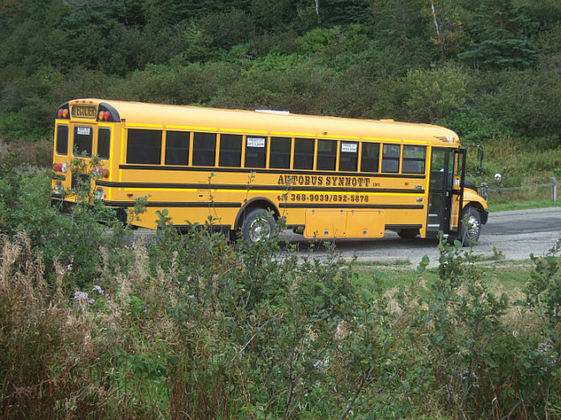 our school bus