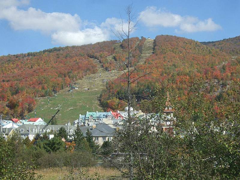 a ski slope in the fall