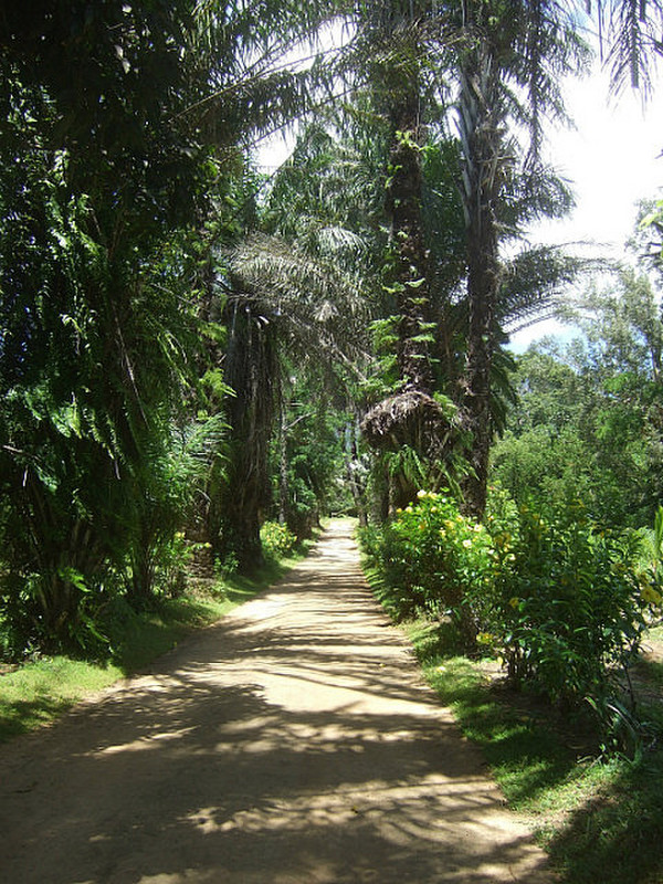 entrance to Nahampoana reserve