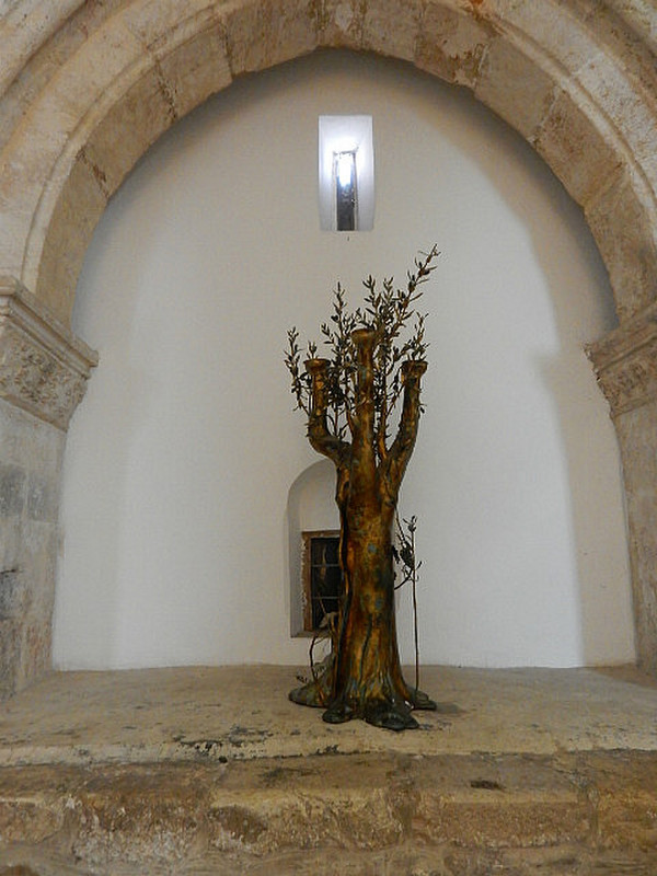 Tree presented by Pope at site of Last Supper