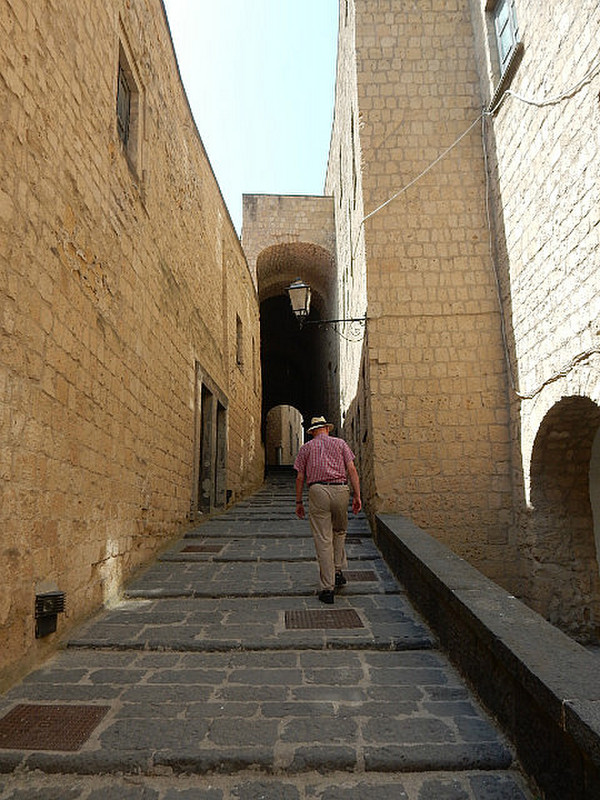 Stefan walks through the castle ramparts