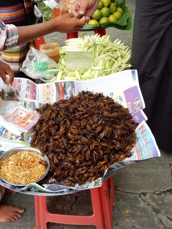 Fried locust anyone?