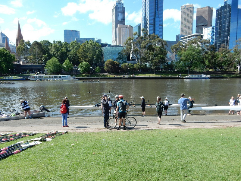 Rowers on the Yarra