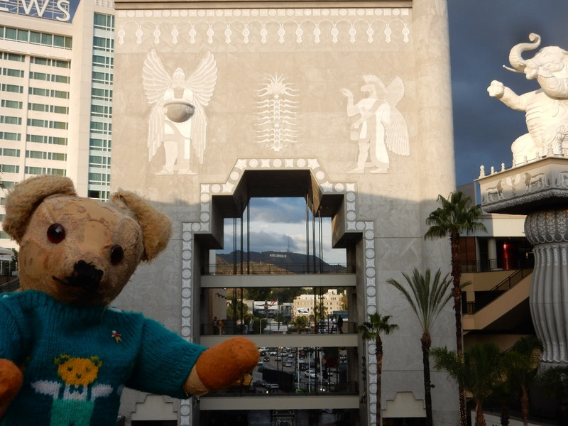 A bear in Hollywood