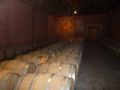 Wine in barrels