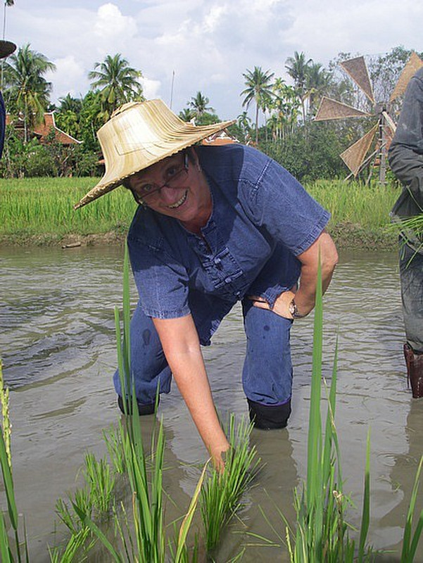 Tiz planting her rice