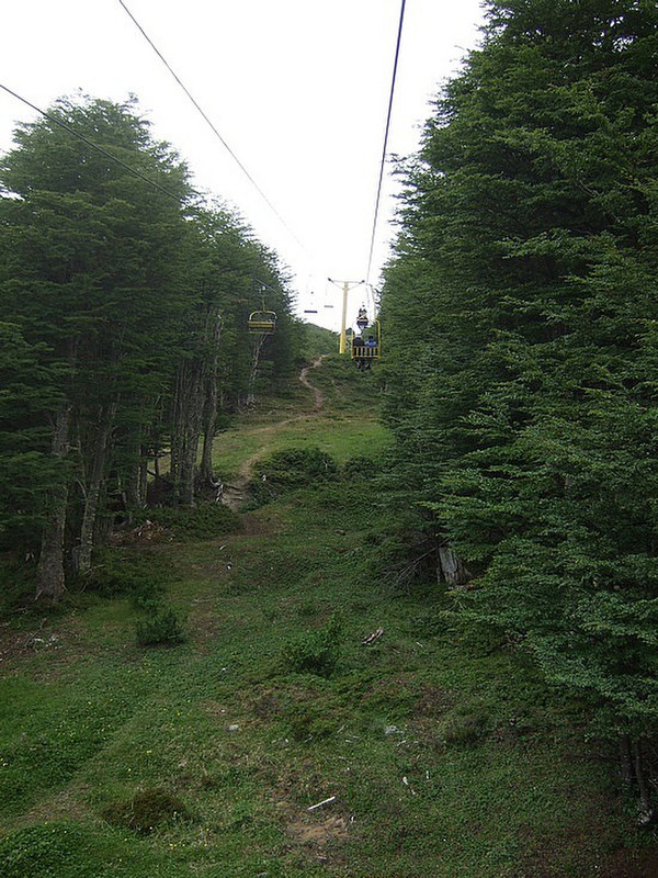 chairlift through the forest