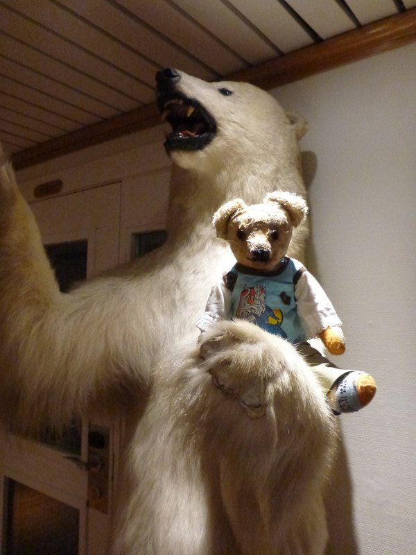 Ted with cousin polar bear