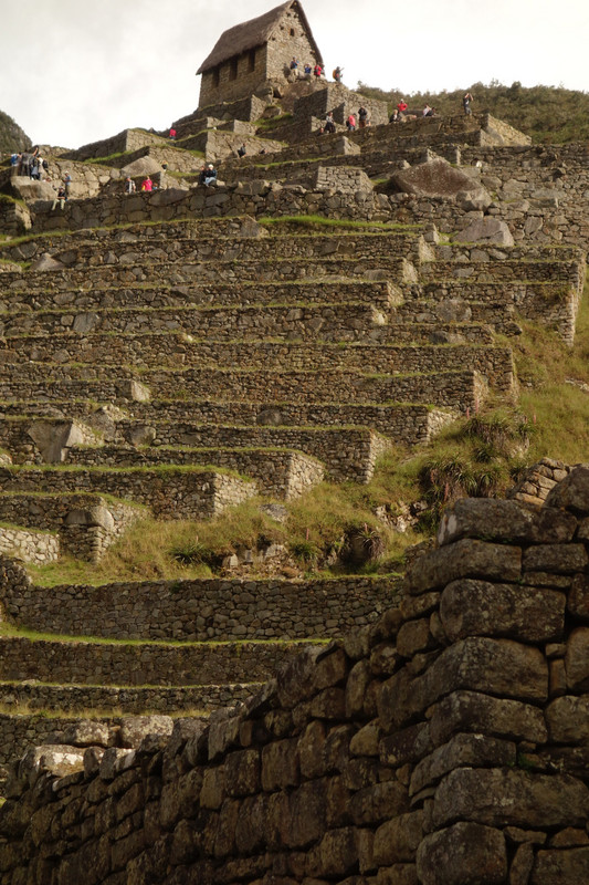 Terraces-Machu Picchu