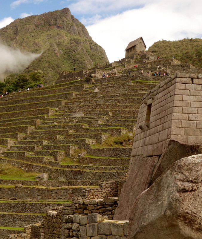 Looking at terraced hill in Machu Picchu