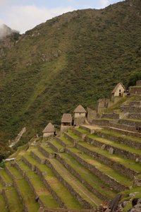 Machu Picchu hillside