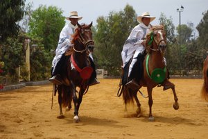 Riders in horse show at Hacienda Mamacona