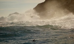 Punta Vicente Roca waves 
