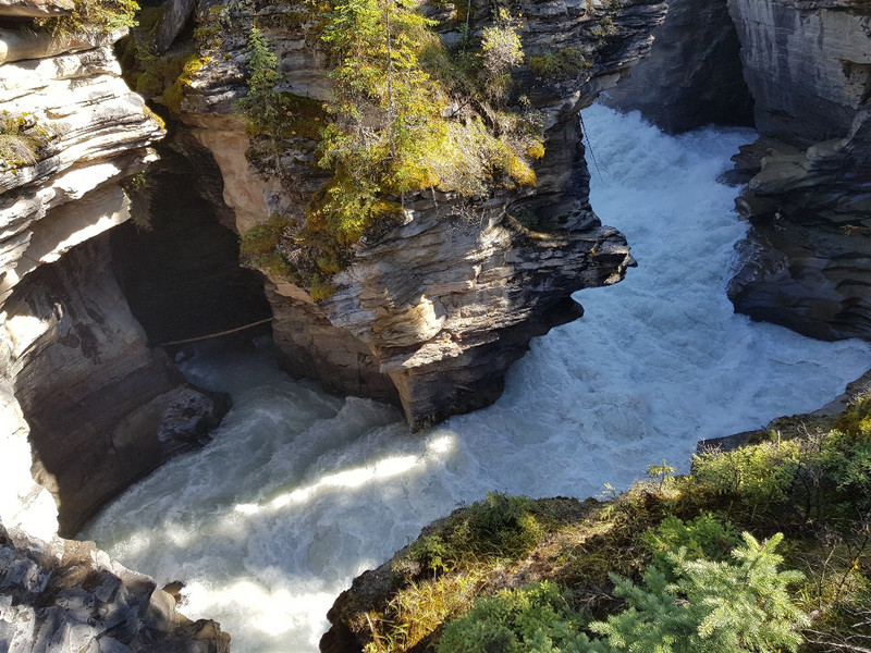 Athabasca Falls