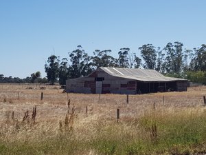 Cattleman's Shed