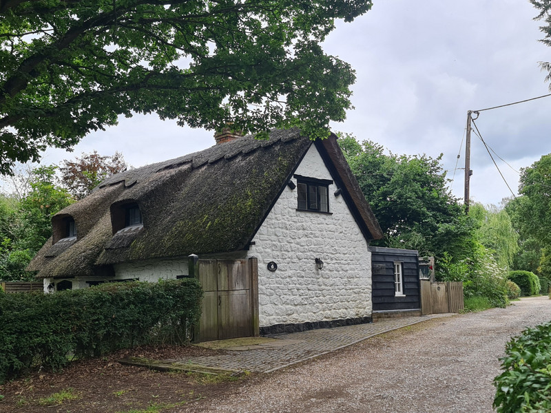 Home with thatched roof