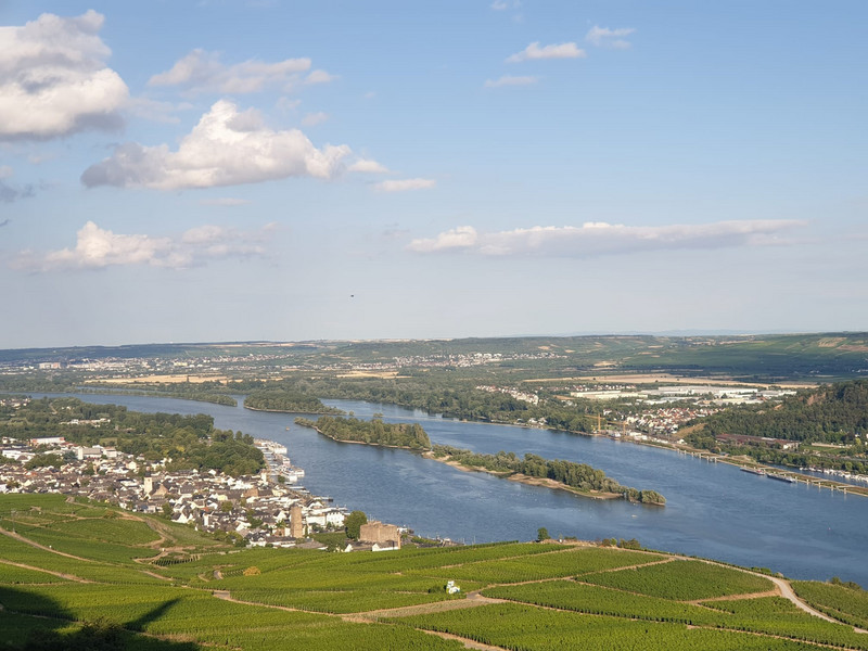 View of the Rhine from the hill behind Rudesheim