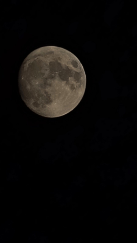 Last Night's Moon