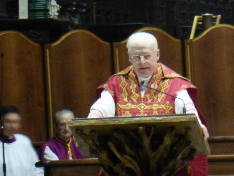 Cardinal speaking during the ceremony