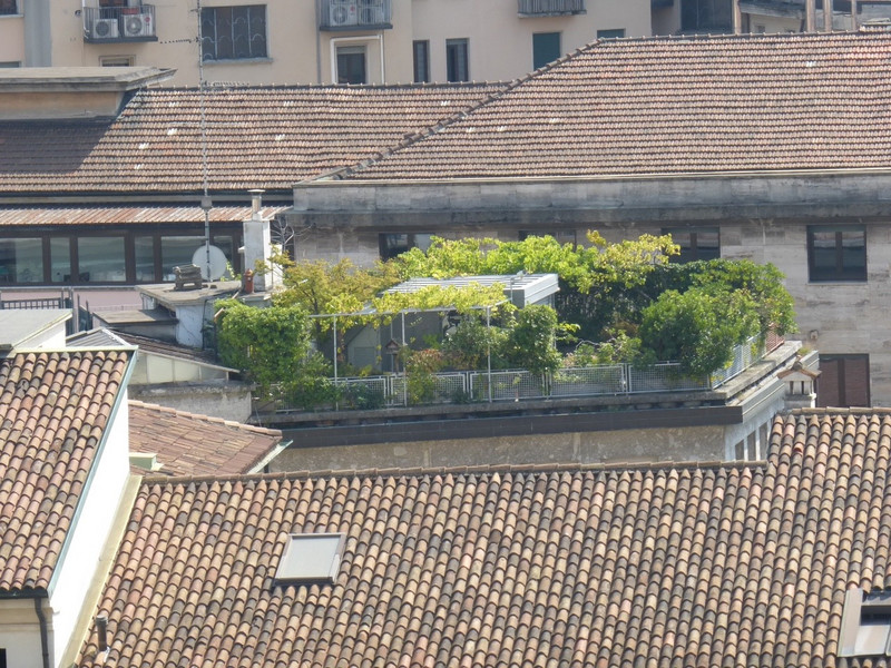 Love the roof top gardens...