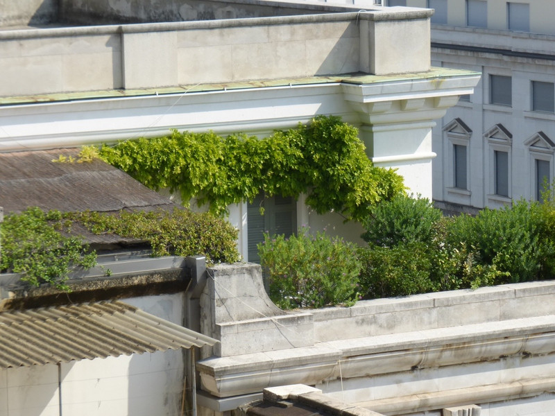 More gardens on the roofs, what a view they have