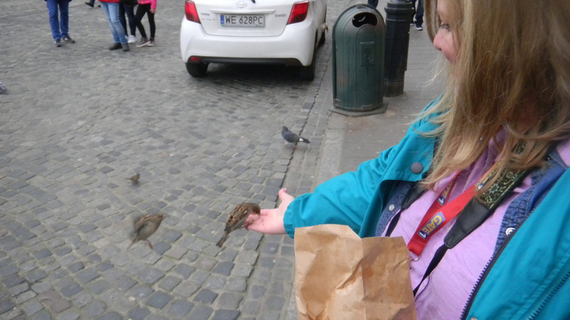 I ended-up feeding many birds :-)