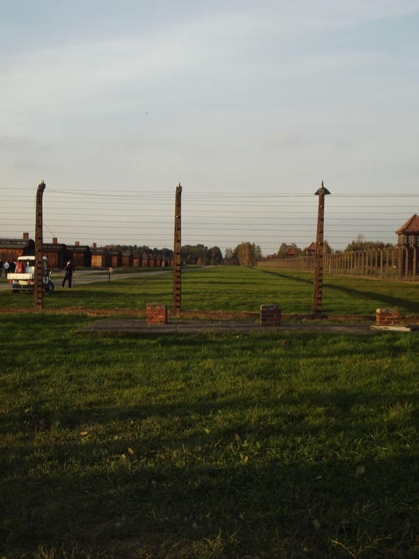 Birkenau housed over 90,000 Jews at times