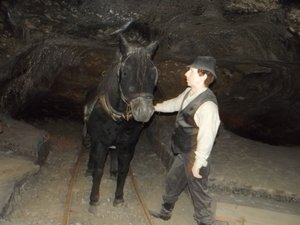 Sadly, horses lived in the mines and were used for labor