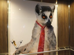Meerkat with a Martini ?