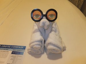 Our nightly towel animal 