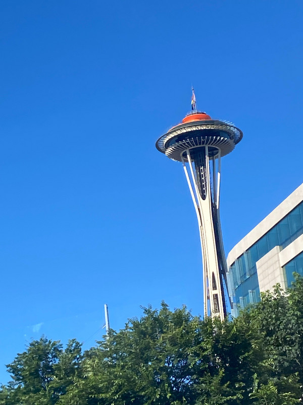 The Seattle Needle