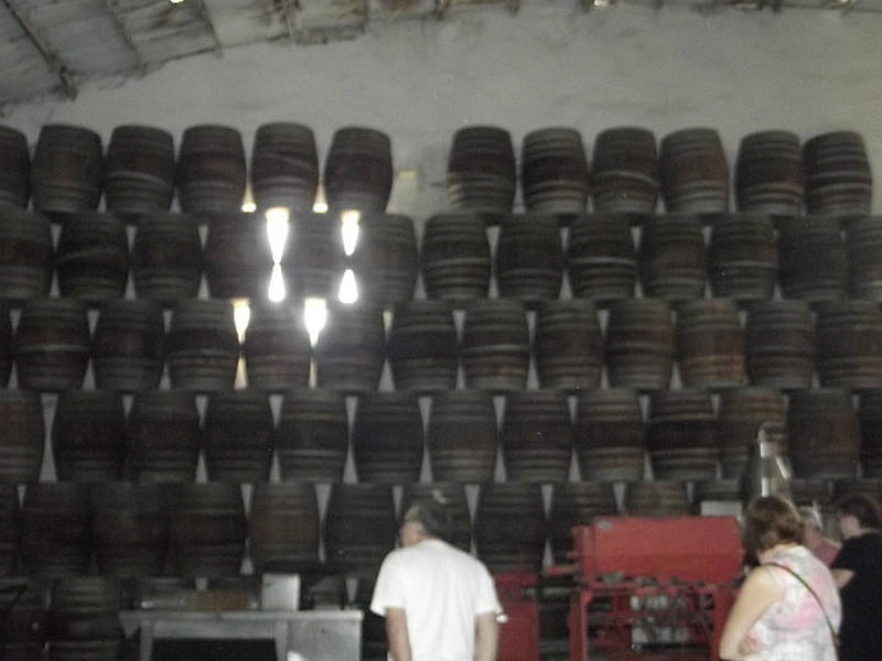 Winery tour - those barrels are expensive