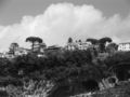 Ravello and the Italian Umbrella Pine Trees