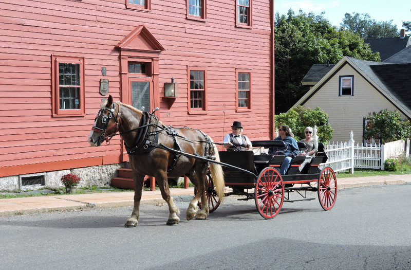 Horse and buggy tours, Lunenburg