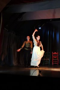 Our own Flamenco Show: Patty Hearns
