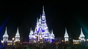 Cinderella Castle at Christmas