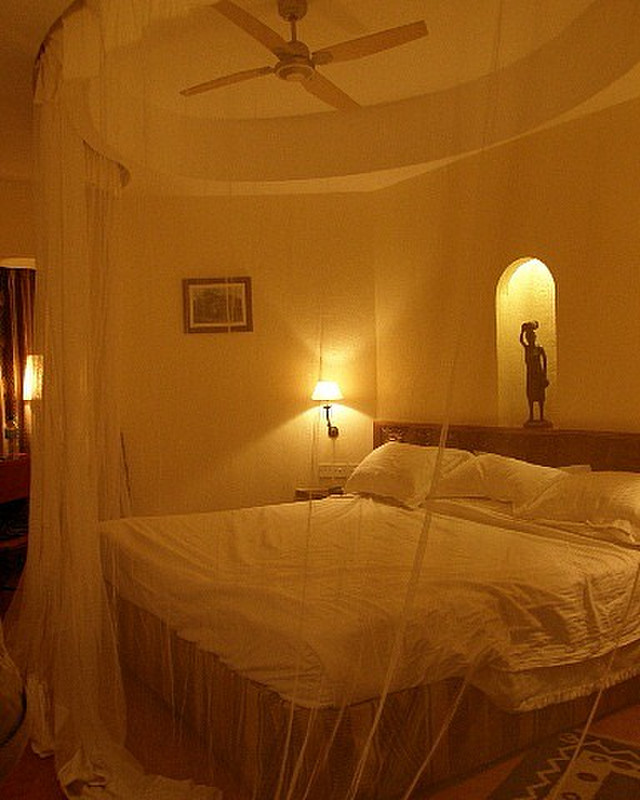 Mosquito netting in our room