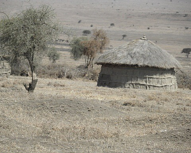 Masai huts