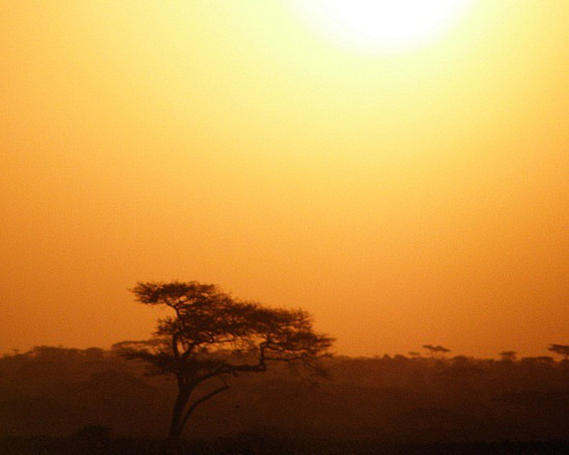 Dawn over the Serengeti
