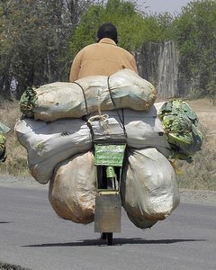 Cabbage on its way to market