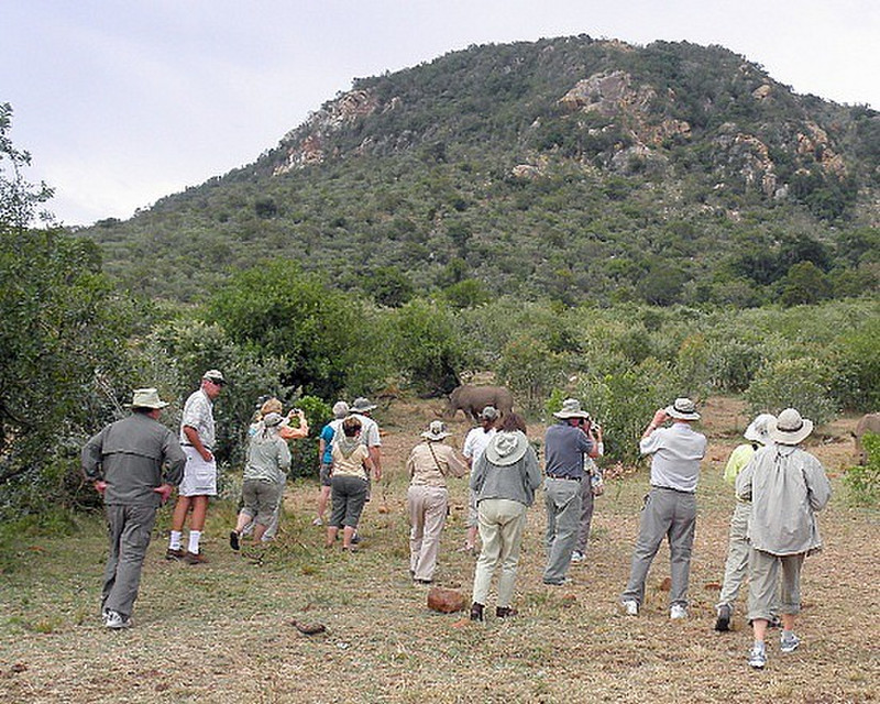 Walk-in safari to see Rhino