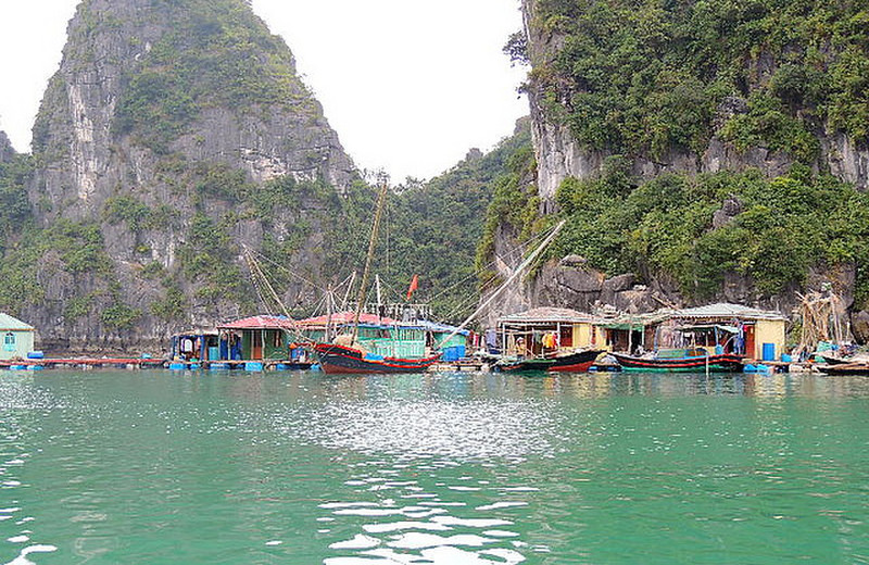 Fishing village in Ha Long Bay