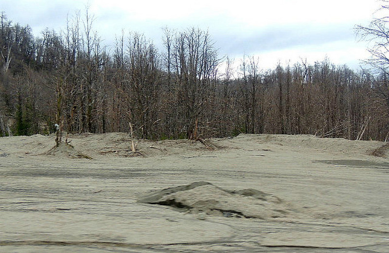 Ash damage from 2011 Caulle volcano eruption