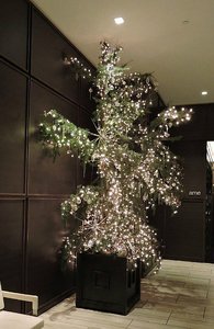 Christmas tree at St. Regis