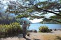 Photo of artist painting Bubble Pond, Acadia NP