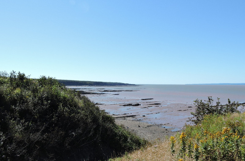 Mud flats resulting from receding tide at Joggins
