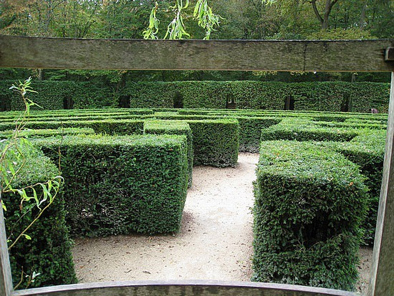 The maze at Chenonceau