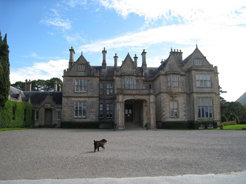 Muckross House and happy dog