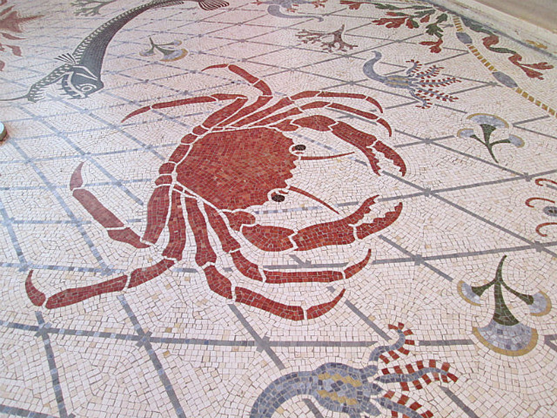 Floor tiles in the Oceanographic Museum